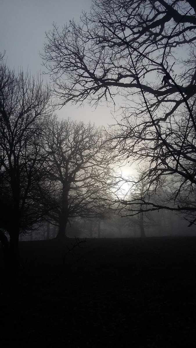 Rémi Poumeyrol tweet media