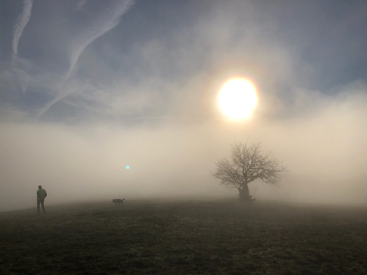 Rémi Poumeyrol tweet media