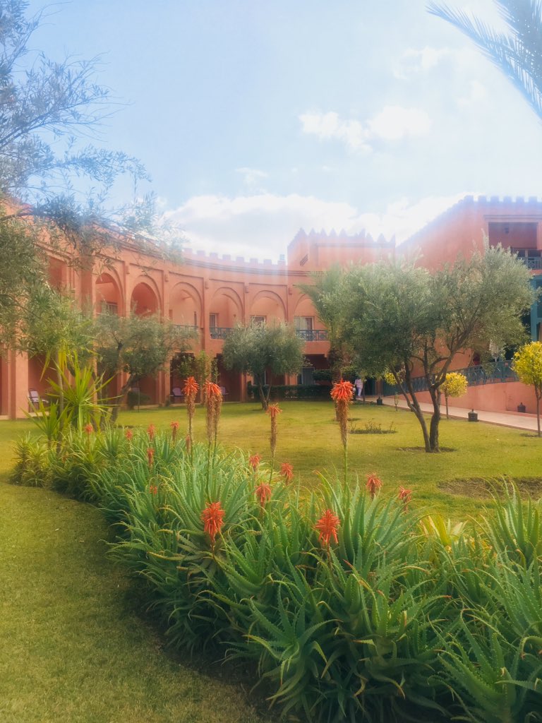 Maria Kaparou tweet media