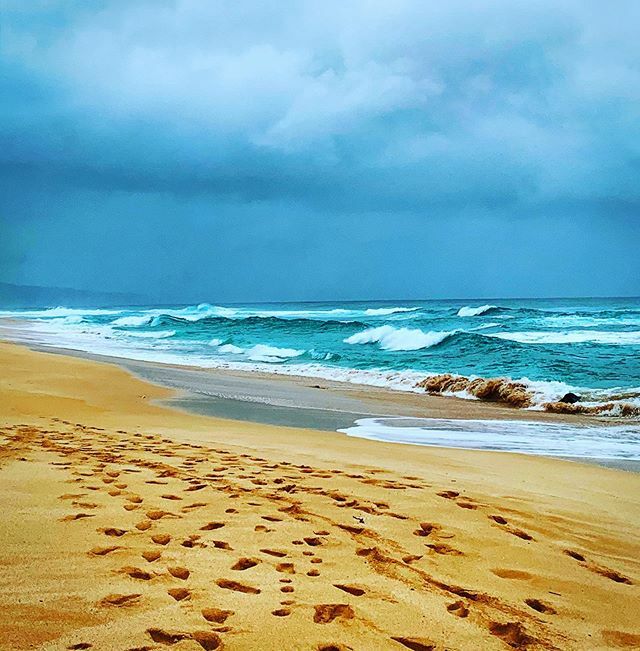 Janiranavarro's tweet photo. Olas / Waves / Vagues
πππππππ
.
#colors #colores #couleurs #photography #fotografia #photographe #fotodeldia #photodujour #photoftheday #enlightapp #enlightappediting #hawaii #honolulu #oahu #olas #vagues #waves #banzaipipeline https://t.co/taNr3lmBgA https://t.co/U1aY306Wzi