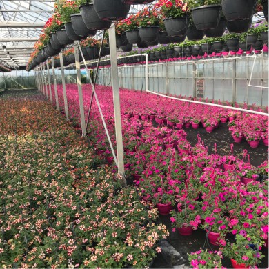 FASpacking's tweet photo. 🌷🌷💁‍ Jest wiele powodów, dla których warto podjąć pracę w Holandii! Jeśli rozważacie taką opcję, informacje zawarte na naszej stronie internetowej na pewno ułatwią Wam podjęcie decyzji i rozwieją wszelkie wątpliwości.  https://t.co/O9GbZWivNR https://t.co/6rUBpU2JdT