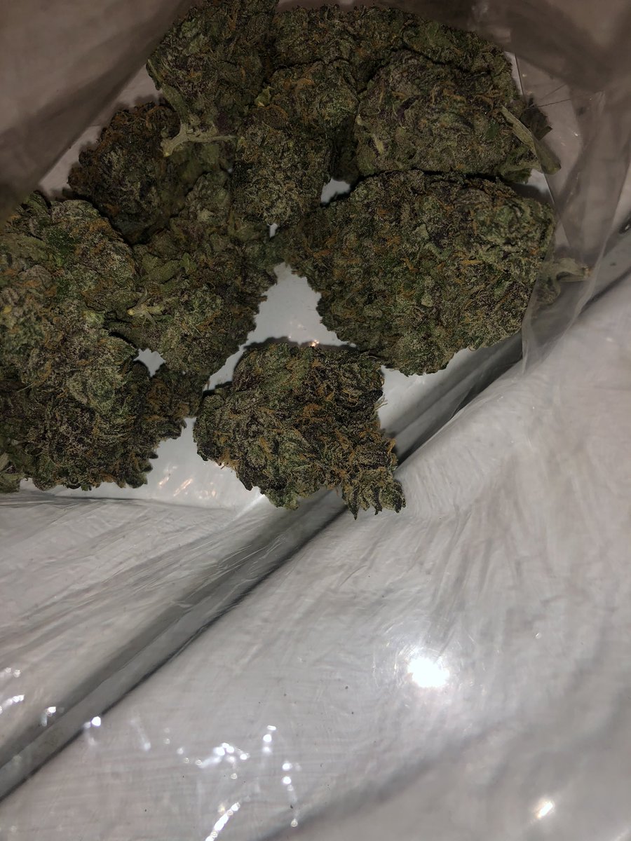 iget2dabag's tweet photo. 🔥🔥🔥🔥📲 #orlandoweed #orlandoplug #universalbud https://t.co/w7MAKXSkEy
