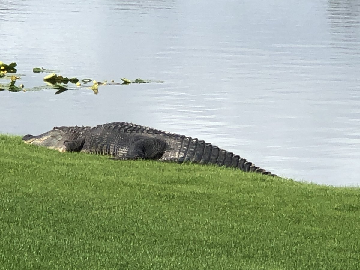 I can not wait to introduce <a href="/eamonlynch/">Eamon Lynch</a> to one of my most respected friends...STUMP