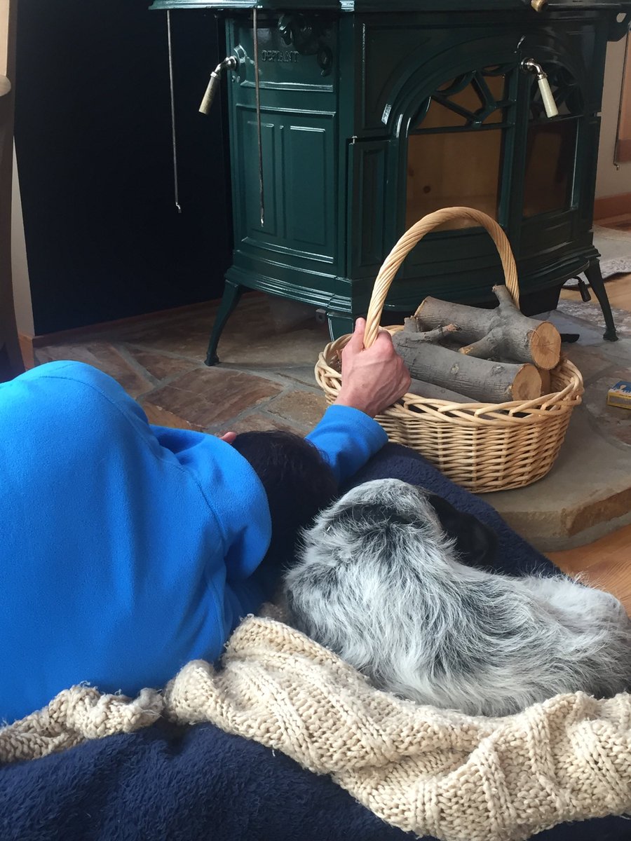 yycjake's tweet photo. Cold days are made for long naps with best buddies. https://t.co/DsDMxDDuC7