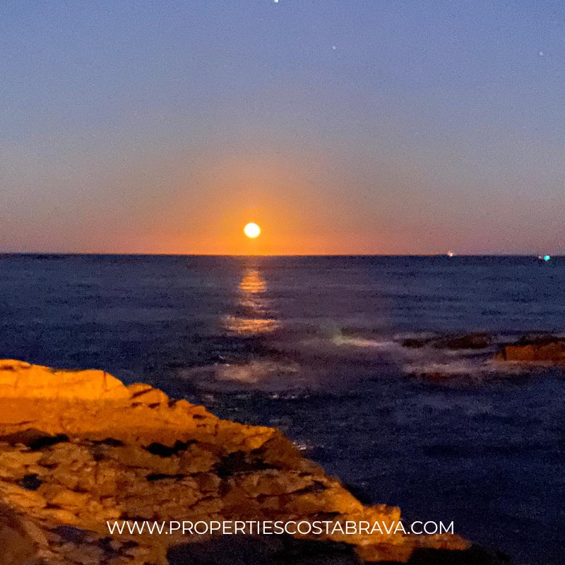 CostaBravaPro's tweet photo. Enjoy full moon nights in waterfront villas #begur #aiguablava #properties #rent #sale #sea #notdreamitdoit  #houses #luxurytravel #luxurylifestyle https://t.co/fMvyoyA5E5