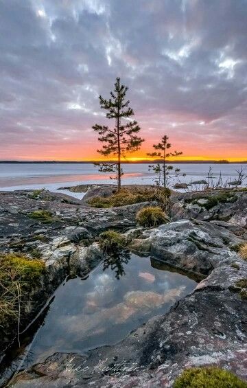 Remember that the world is beautiful, and our place in it is worth fighting for. I love you all.