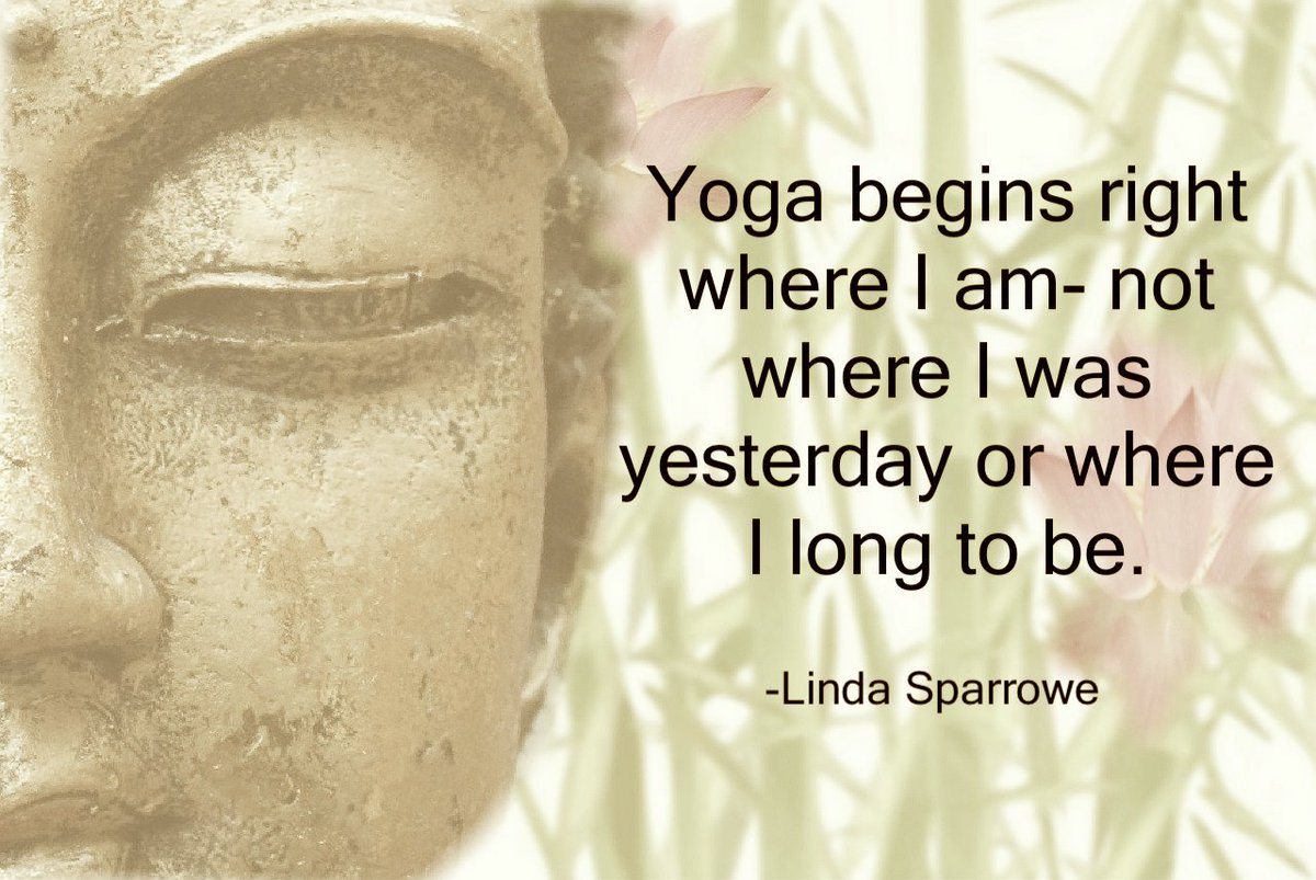 Kym Yoga (@yogakym) on Twitter photo 