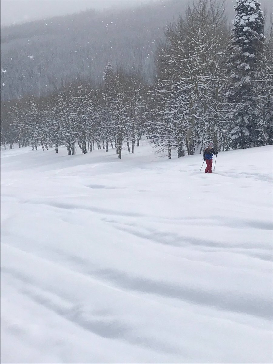 huskynationcope's tweet photo. Not all powder days require a lift!
All you need is snow, hardy company and a remote cabin for a destination. #SundayFunday
#gradingcanwait https://t.co/ZVBVfyUB3p