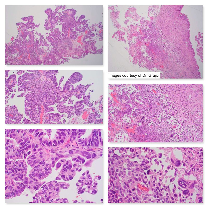 South Bay Pathology tweet media