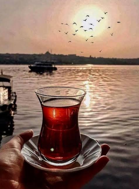 @islim_gul63 @erayyyNihal @umutmurare @_yusufkorkmaz @Su_Demsltn @golgelerr @guldane53 @bulem_buglem @KalbiAhsennn @BayDimez @Denizimsimavi2 @ertan080808 @ReisbeyHuseyin @__REISCI__RT @YusufAyetullah @jejuni_jeju @NeslihanCmn @Cetin__29 @RtSunam @h_AKtan19 @slmhktn @Cengizyigit__ @EnginKircil @ErkanOzdurmus @fehmikutuk @SerpilAkboru @gtatlipinarofc @OgurYasemin @fawsarii @S__R_P___ @Yucel72Ozlem @25Davam @Agon_Digon @syasinakdeniz @RealistOnline @cuneytbulas @ihsanemirgazili @kom_ofis @annac_sibel @ADANAM__ @AliyA_571 @fatih_han25 @AZATZGR16 @NecatiTurkel23 @MRSU10410963 @ahuelanaz42 @Djlaz1969Fevzi @__BUGLEM__ @TurkayMetin Eyvallah Hanzade 😊
Hepsi takibimde 👍
Allah'a emanet sin
Hayırlı geceler 
Teşekkür ikramın
👇👇👇👇👇👇