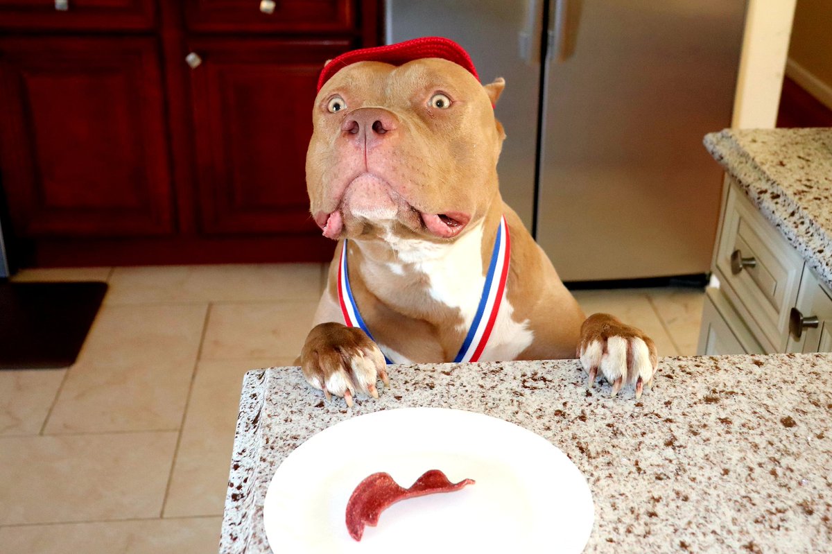 snowstormkennel's tweet photo. Thank you, Dad. May I have another?
#bully #ukc #dogsofinstagram #dog #bullylifetv #puppy #bullybreed #bullylife #gottiline #bullies #pitbulls #bullylove #love #instabully #dogs #thebullyplanet #keepitbully
#instadog #dogstagram #bullyworld #bullybreed
#bullyworldwide #bullygram https://t.co/3jNcqa4KGe