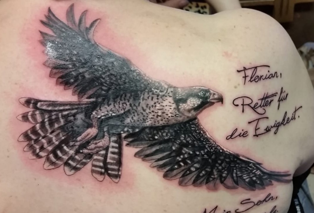 Peregrine Falcon Tattoo