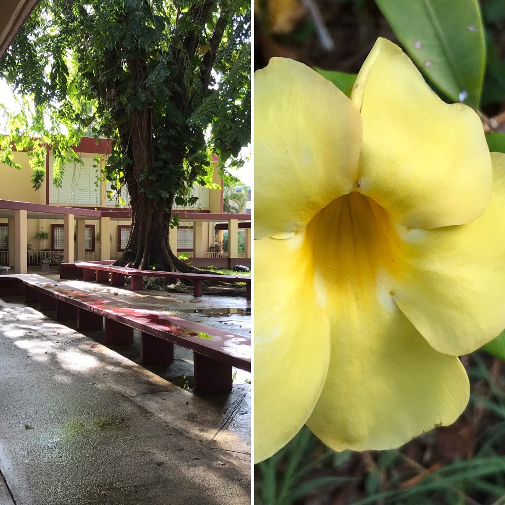 lmmolina_luisa's tweet photo. Classes are in suspense. Our lovely island is under attack by a series of earthquakes. Southwestern part hardest hit. #earthquakes #PuertoRicoEarthquakes #SundayThoughts #lifeofaprincipal #cbcmr https://t.co/VefQL9t9GH