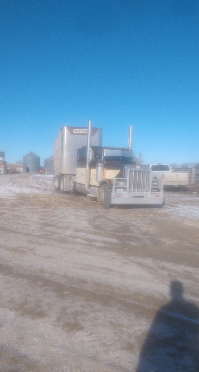 Prairiehauler's tweet photo. Time to start the week with some fatties.... Sure hope the plant takes them... Them huge... #flexcross https://t.co/XYExY2ieg2