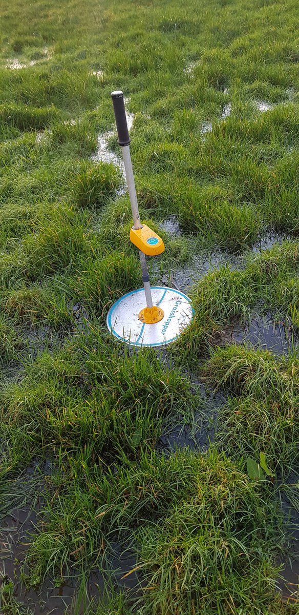 Just out measuring the water level in the paddocks.....🙄 #teamdairy #Spring2020 #GrassToMilk