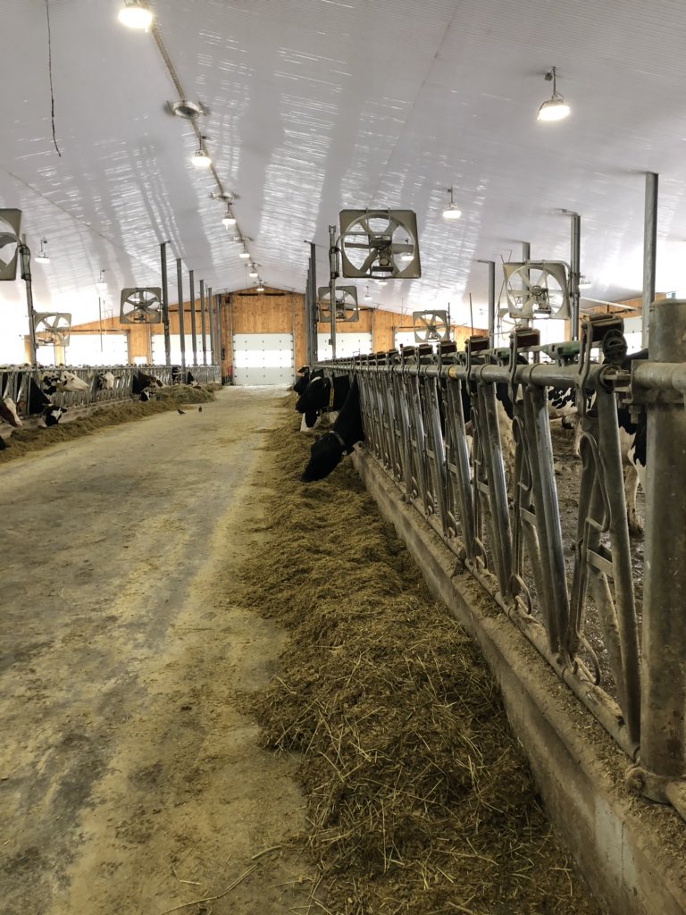 UofGDairy's tweet photo. Our 14th and final stop on #aggiesgoeast was @FermeBlondin. Thank you for hosting us and sharing your passion for breeding quality cattle! https://t.co/ofB3SZZr4M