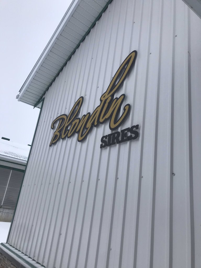 UofGDairy's tweet photo. Our 14th and final stop on #aggiesgoeast was @FermeBlondin. Thank you for hosting us and sharing your passion for breeding quality cattle! https://t.co/ofB3SZZr4M
