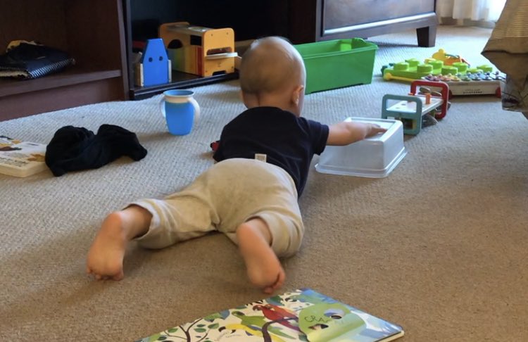 jilldosso's tweet image. New post over on Instagram stories Instagram.com/motionpsych talking about affordances and slippery support 🚼🚼🚼 #learningtocrawl #scicomm