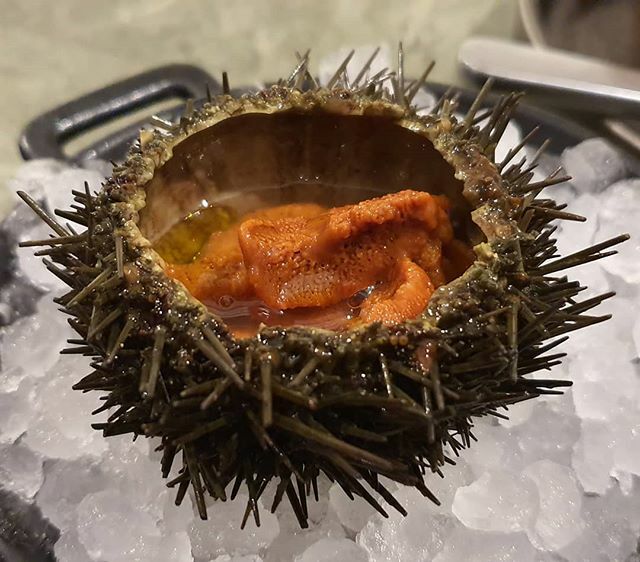 72d777aa65e947c's tweet photo. Urchin and fermented bread sauce @theseathesea_ by @leocarreiraa . Part of a delicious meal last night.
.
.
.
#urchin #uni #seaurchin #bread #sea #seafood #fish #prawns #mussels #enoki #agedfish #oysters #shellfish #foodandwine #food #foody #foodies #ins… https://t.co/VrMwPzeoNc https://t.co/Dk0v3li68V