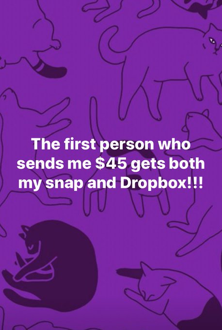 Moliie Max - Cash app $molliemax94 PayPal tfrenchie0706@gmail.con https://t.co/wPd2kx4wlA