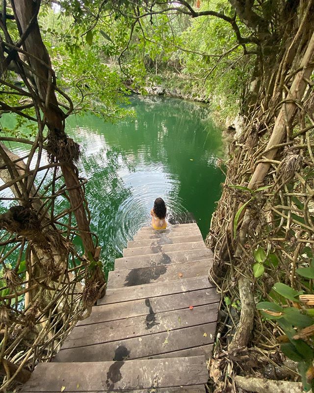 juancelias2's tweet photo. Cenote Tulum
.
.
.
#cenote #tulum #mexico #tulum #tuluminati #photographer #mexico #travelphotography #traveler #traveling #travelgram #travelblogger #travelinfluencer https://t.co/t7VOTFF1vD https://t.co/58A3d8CRGb