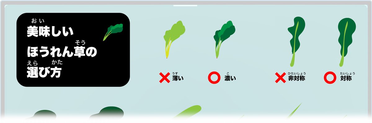 イラレブック ほうれん草 ポパイの栄養 買い物中にこの記事を開けば おいしいほうれん草選びは完璧 朝食でバター炒めにしたり 刻んでオムレツに入れて食べよう T Co Jjqcw01ufe ほうれん草 野菜のえらび方 イラレブック イラスト