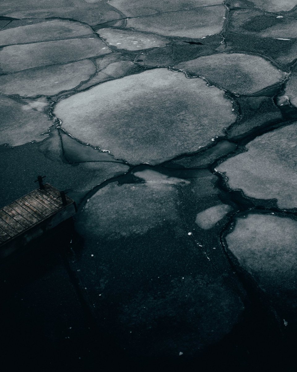 alenpalander's tweet photo. Frost bite ❄️ https://t.co/71oxNXlhtl