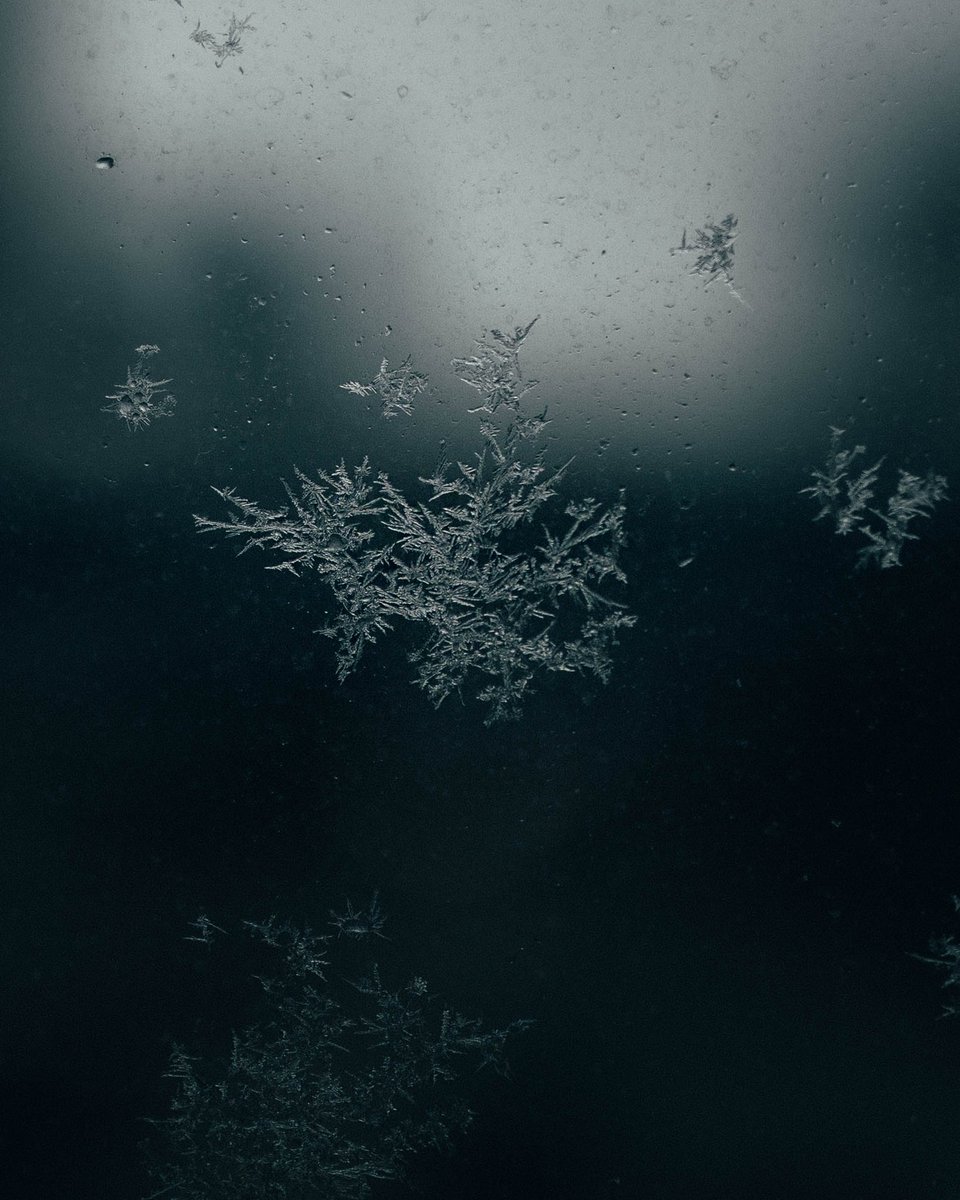 alenpalander's tweet photo. Frost bite ❄️ https://t.co/71oxNXlhtl
