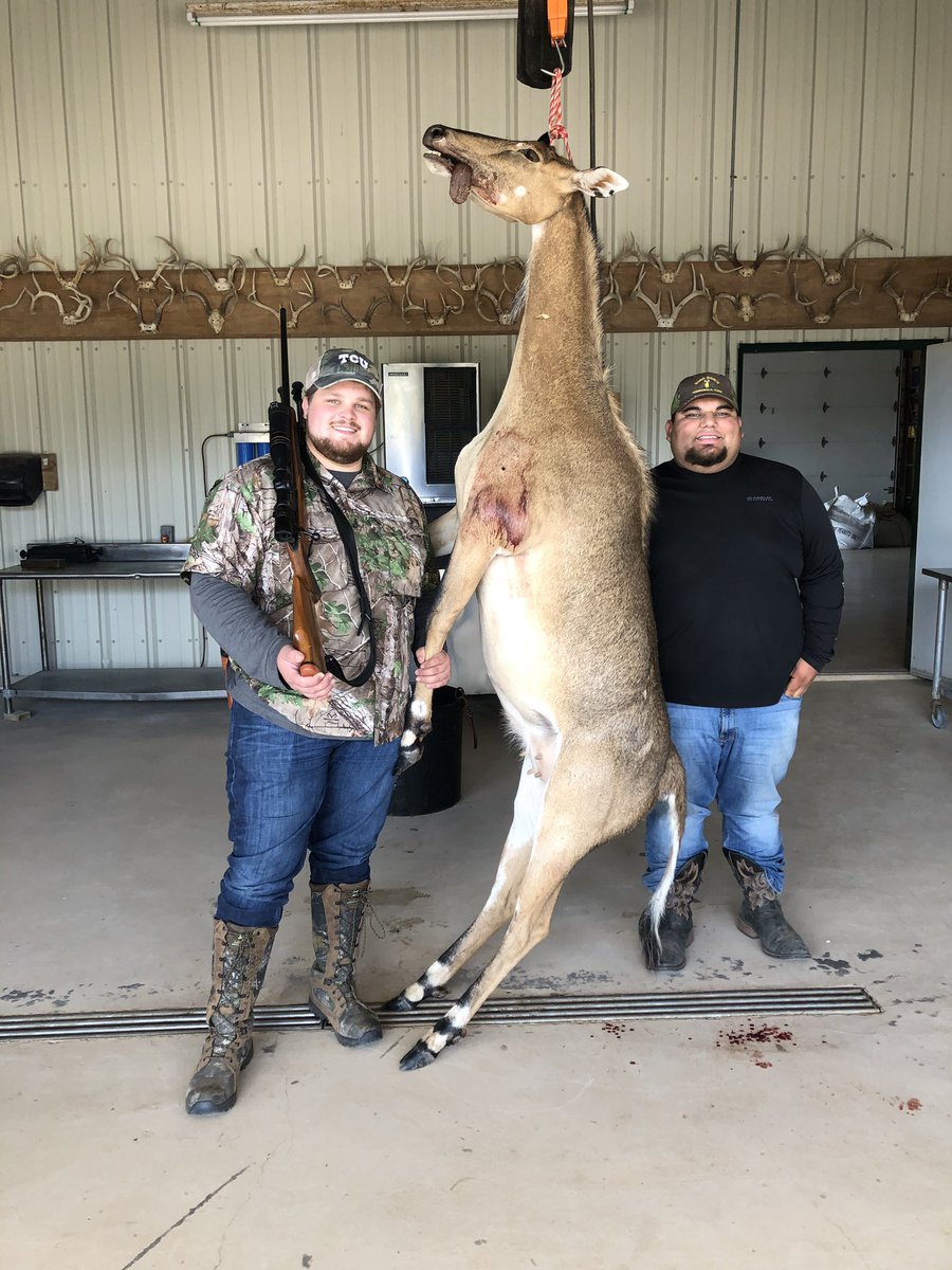 BronsonTristen's tweet photo. Nothing like hunting nilgai down in South Texas! #hoboranch #338winmag #Nilgai https://t.co/ZkW4UjNdJg