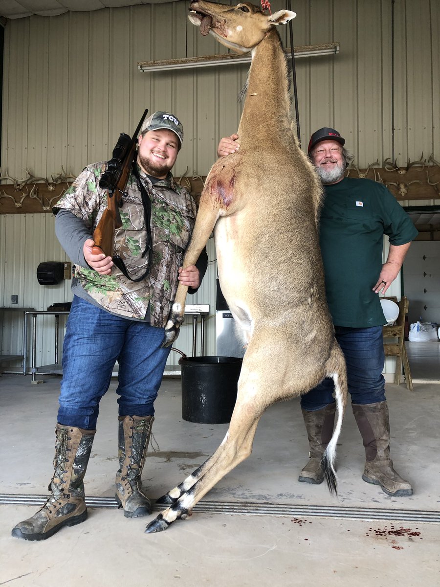 BronsonTristen's tweet photo. Nothing like hunting nilgai down in South Texas! #hoboranch #338winmag #Nilgai https://t.co/ZkW4UjNdJg