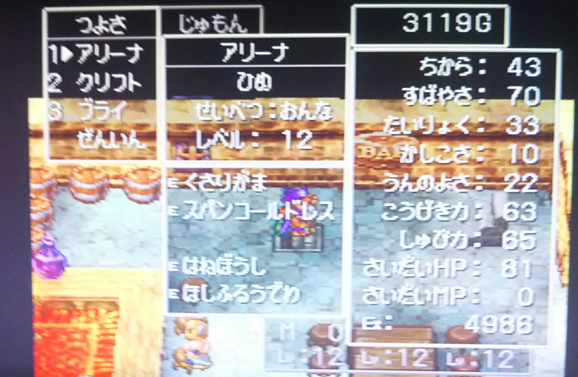 さきえる ドラクエ7 リプ遅れます かっぱ園児 おはようごさきえるん ﾉ ヮ ﾉ カジノでほしふるうでわ3人分ゲットしました W ゞ スパンコールドレスも装備していざコロシアムへ ドラクエ4 おはようございます