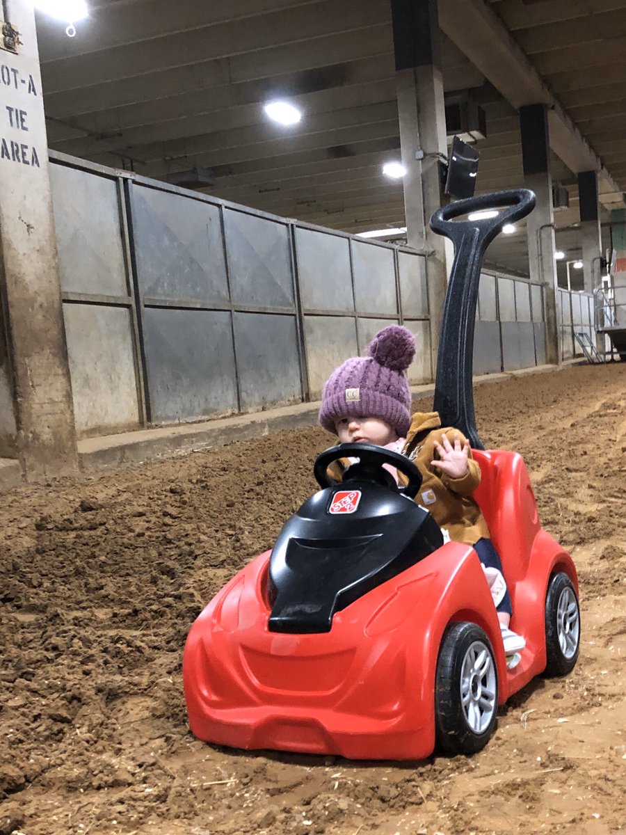 Wingsofhopeequi's tweet photo. Our littlest helper moving us in to John Justin arena for Chisholm Challenge ! ππ¦β€οΈ
#wingsofhopeequitherapy
#chisholmchallenge #therapyhorse #horsesofinstagram #equitherapy https://t.co/PwZM5Jfyta