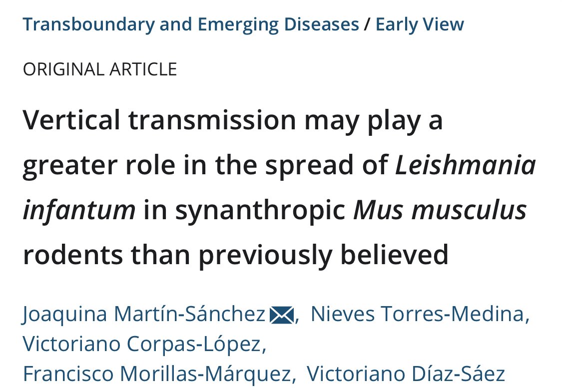 🔬 More significant and worrying info about this complex disease 🦟 
🦠 #VerticalTransmission of #Leishmaniasis could be highly relevant in wild and synanthropic #rodents like #MusMusculus 🐭 
#DomesticMice #Parasitology #LeishmaniaInfantum #OneHealth 
👉🏻 onlinelibrary.wiley.com/doi/abs/10.111…