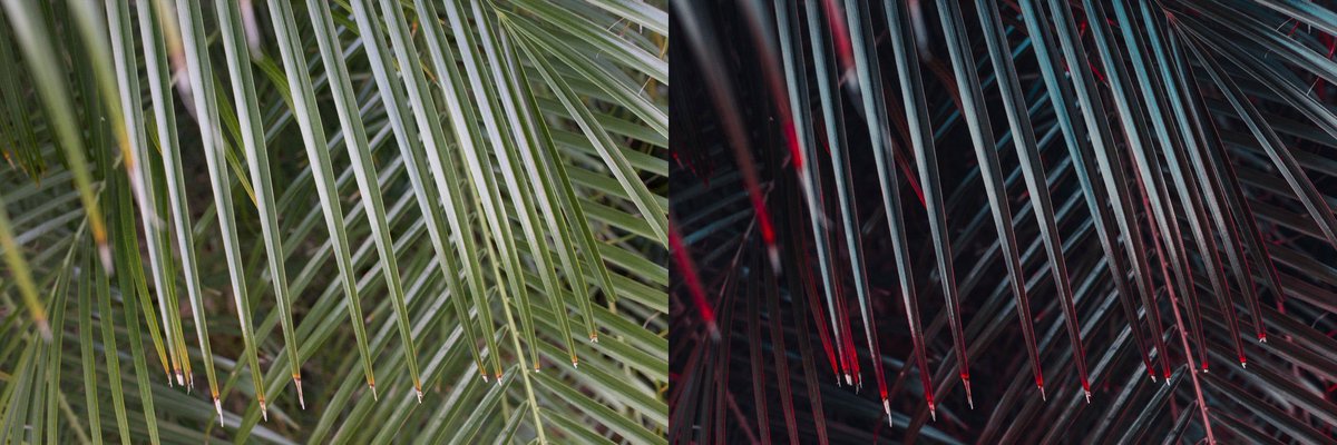 Praizist's tweet photo. Which is your favorite &amp; would you like a tutorial on the preset? https://t.co/viOjWyUubA