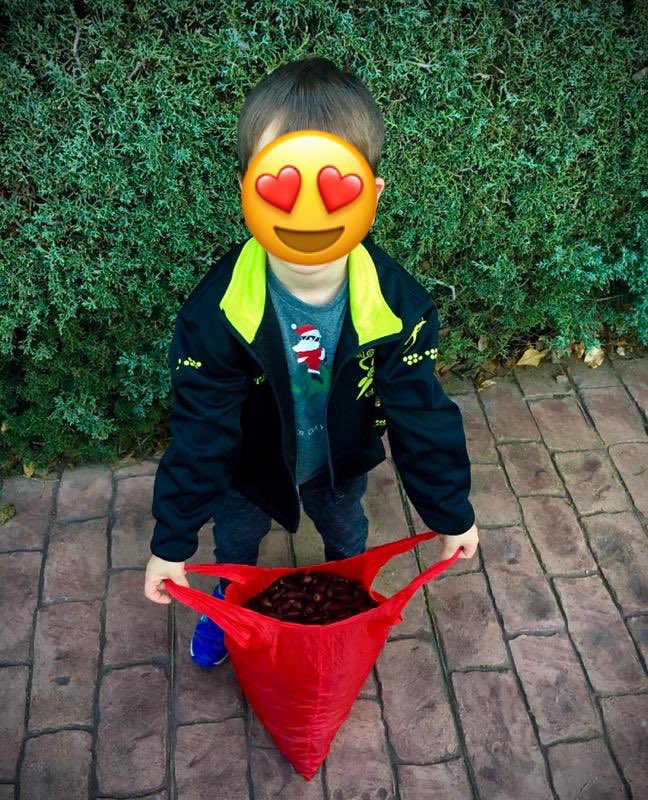 #LaGranBellotadaIbérica 
Ya hemos empezado a recolectar bellotas de nuestro municipio.
Pronto las sembraremos cerca del cole. Os seguiremos informando...