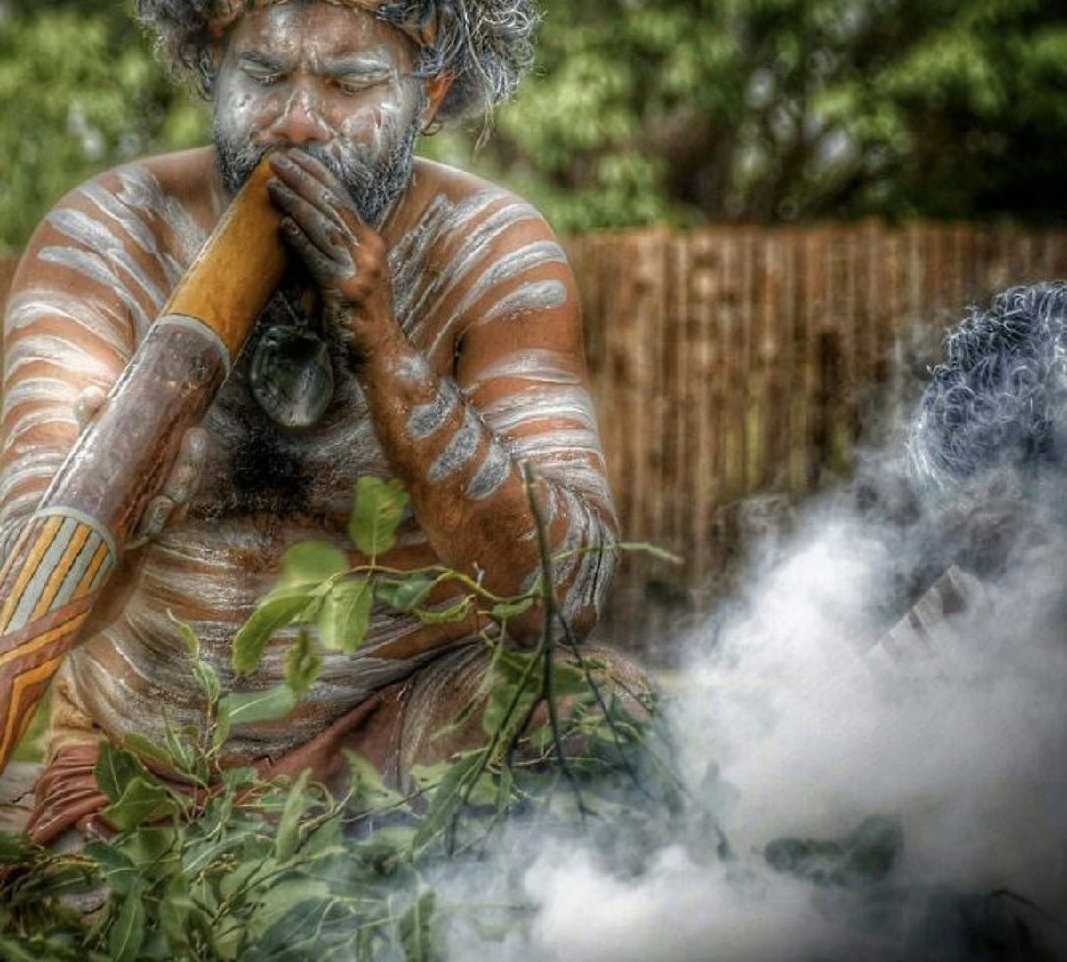 Play Stay Australia tweet media