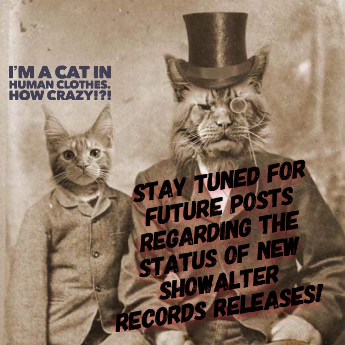 We are going through an intensive overhaul and will be posting a release schedule over the next coming weeks. Our current roster includes: <a href="/oyptmusic/">Oh! You Pretty Things</a> <a href="/mybandshowalter/">showalter</a> and introducing <a href="/ButtonsDirty/">Dirty Buttons</a> and Sounds Like A Rainy Day