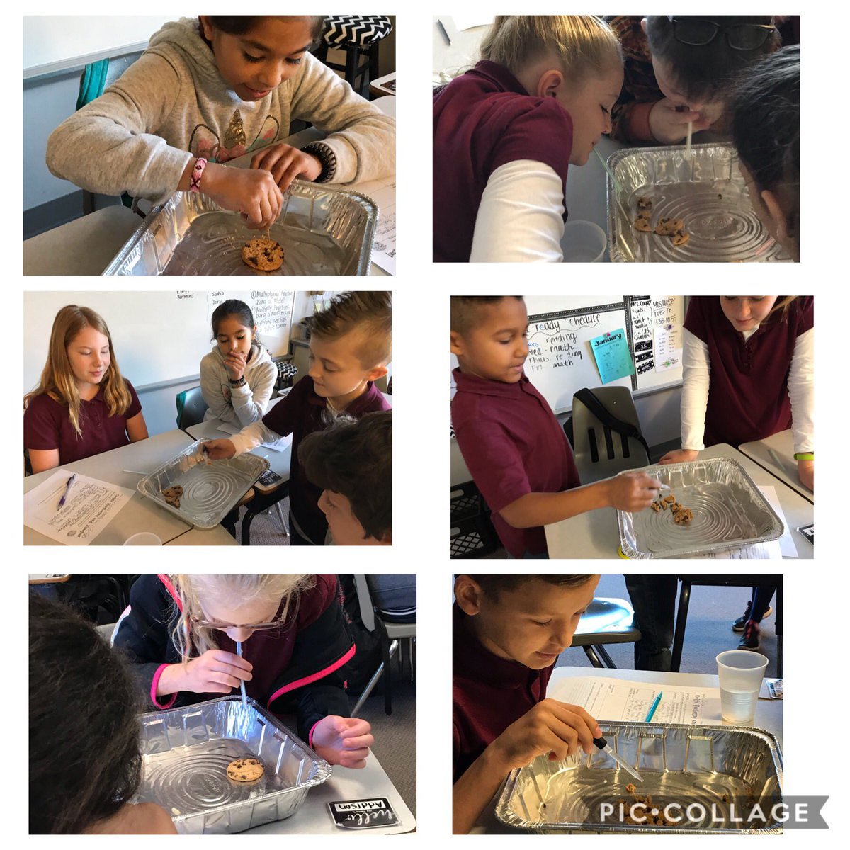 Earlier this week our 4th graders used cookies as “rocks” to investigate Weathering and Erosion! 🍪🍪🍪 <a href="/SchwarzkopfElem/">Schwarzkopf Elem</a>