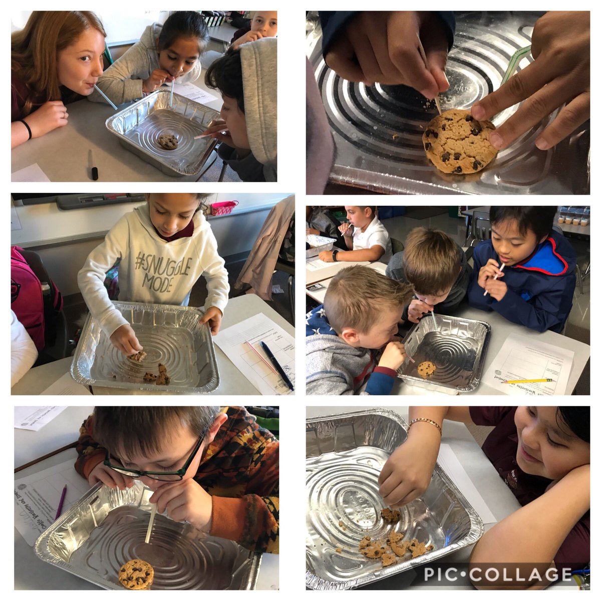 Ndavis961's tweet photo. Earlier this week our 4th graders used cookies as “rocks” to investigate Weathering and Erosion! 🍪🍪🍪 @SchwarzkopfElem https://t.co/9Vgl5bIV9L