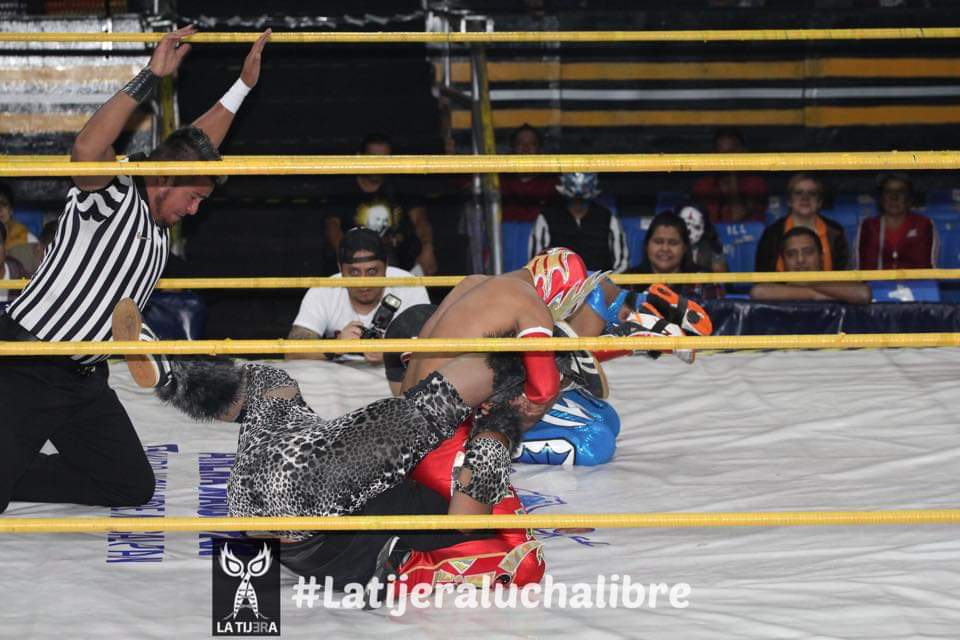 LaTijeraLucha's tweet photo. En la primera lucha de talento juvenil la tercia técnica conformada por #AguilaOriental #Biosfera y #SpiderFly se imponen a #CanivalKing #NoicyBoy y #Voltrex con lo que arranca la función de #GuerrerosAztecasWrestling y de #IWRG.
#latijeraluchalibre https://t.co/BZhiliM88D