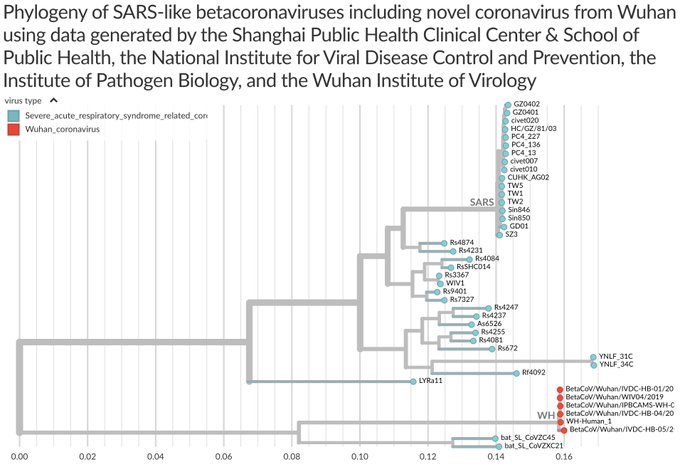 View image on Twitter