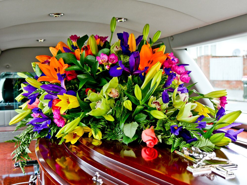 HeartsPeaceful's tweet photo. Always amazes me, the size of the flowers. Stunning https://t.co/BwjCfxfJ8j