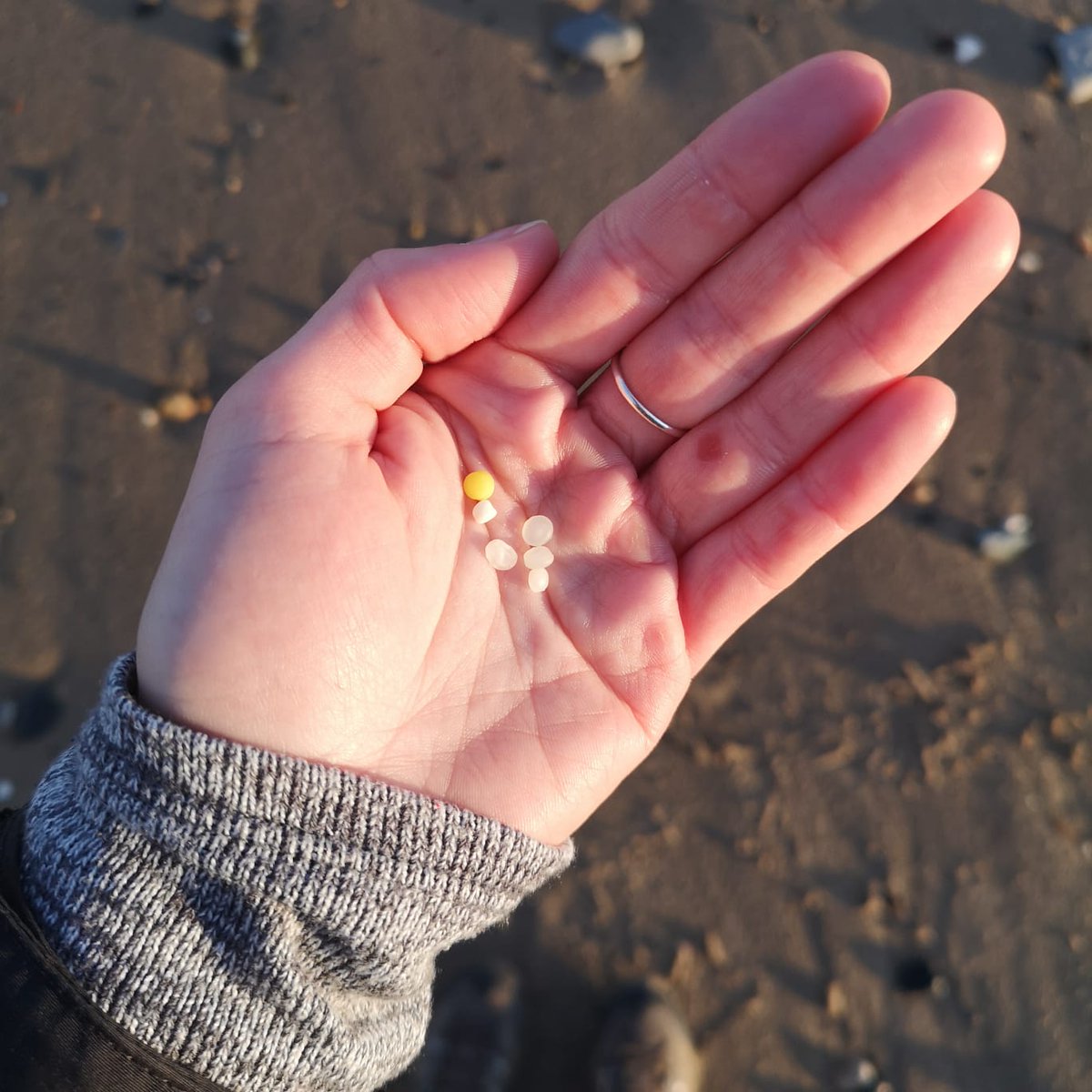 hullbeachcleans's tweet photo. Just a quick rekkie of #SpurnHead today- potentially a future #beachclean site!

 @YWTLivingSeas #SaveOurSeas #CoastalCleanup #ProtectOurShores #BeachCleanClub #Pick3ForTheSea #OceanCleanup #KeepBritainTidy https://t.co/RhEiUI1qyt