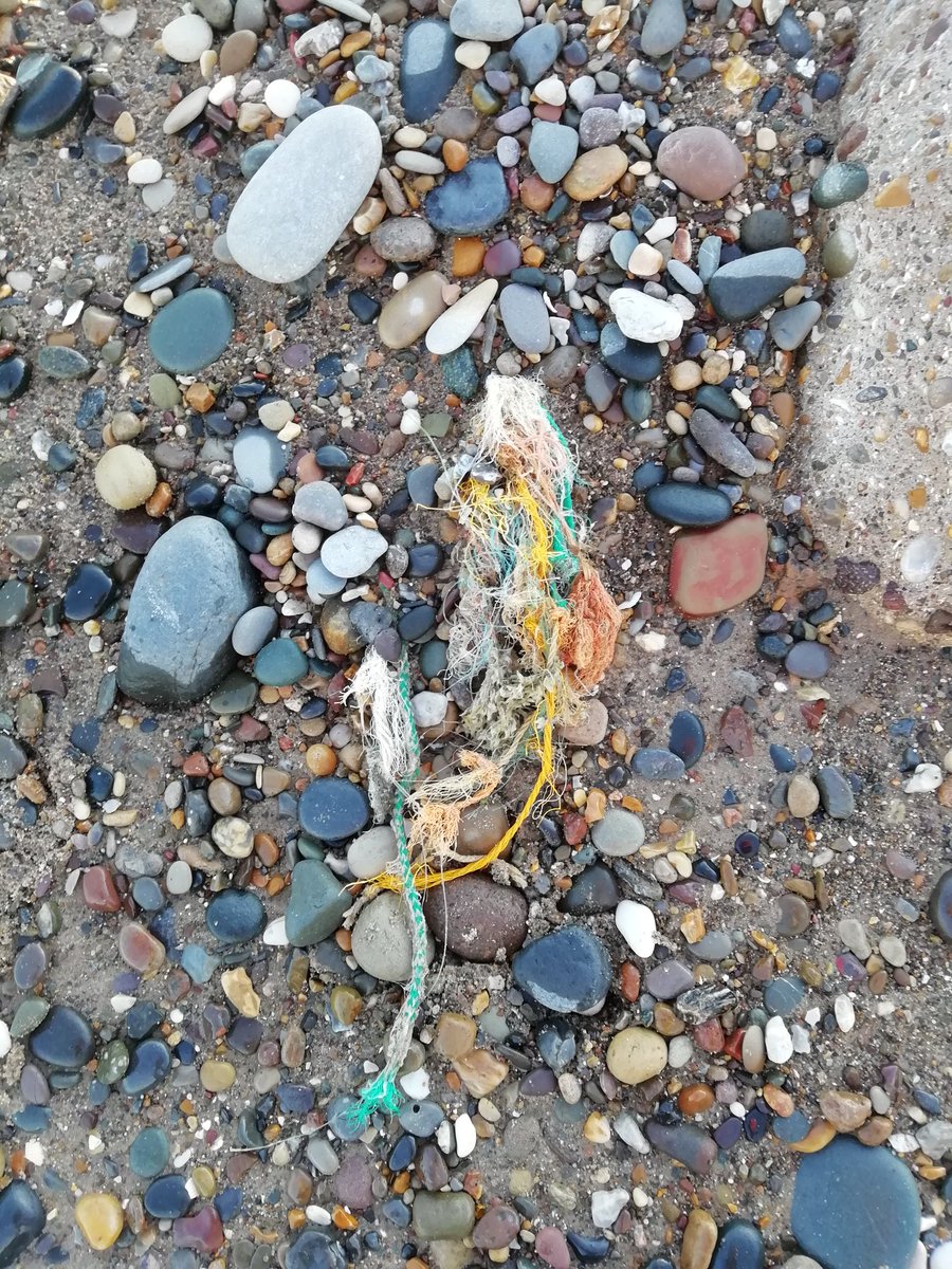 hullbeachcleans's tweet photo. Just a quick rekkie of #SpurnHead today- potentially a future #beachclean site!

 @YWTLivingSeas #SaveOurSeas #CoastalCleanup #ProtectOurShores #BeachCleanClub #Pick3ForTheSea #OceanCleanup #KeepBritainTidy https://t.co/RhEiUI1qyt