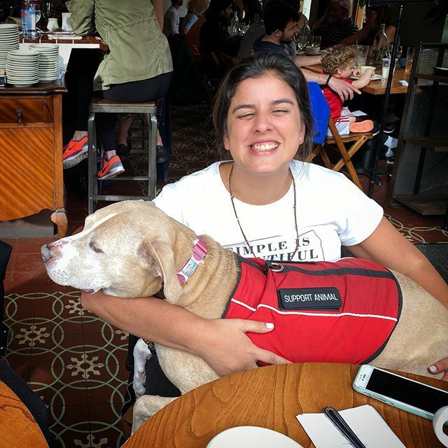 This me be professional emotional support animal for hooman 
#ellethedog <a href="/andreadlpg/">Andrea de la Piedra</a> ift.tt/2uJYOKj