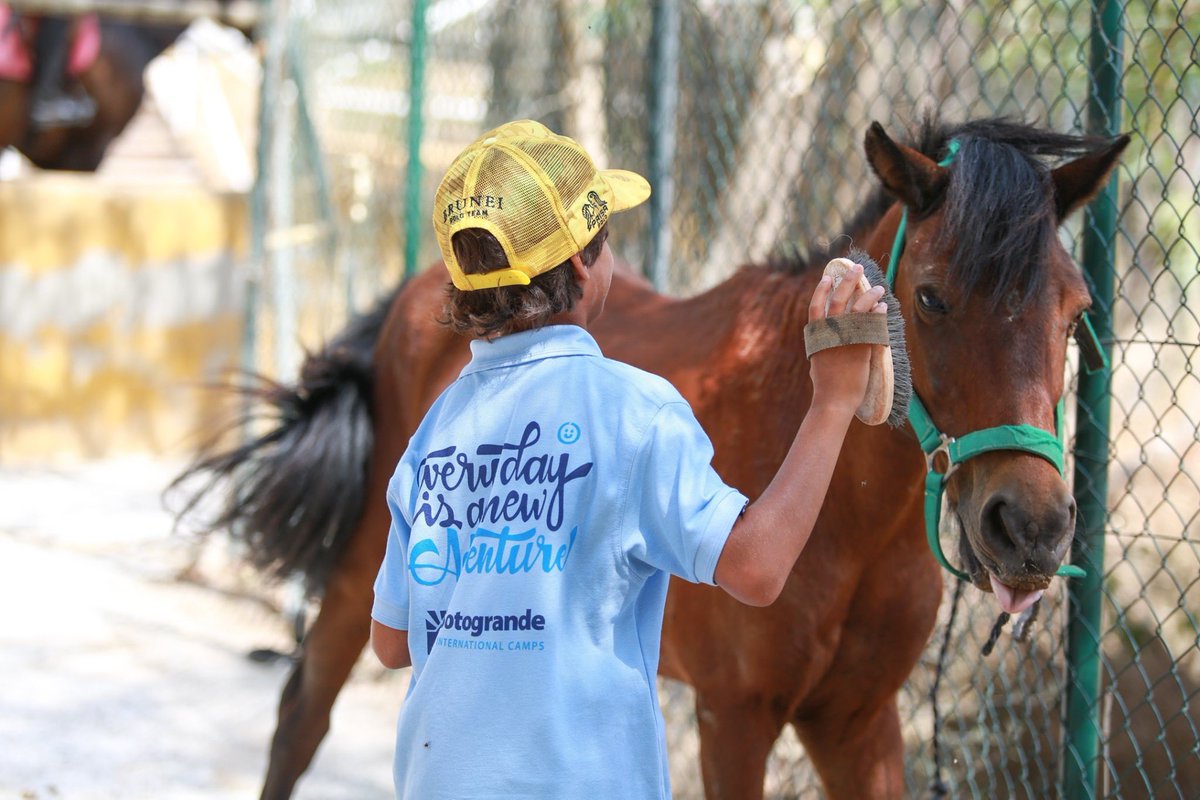 The relationship that children have with horses is very special, and allows them to obtain two fundamental values: responsibility and respect towards animals and nature. #horsing #SummerCamp #Summer2020 #sports #languages #sotogrande