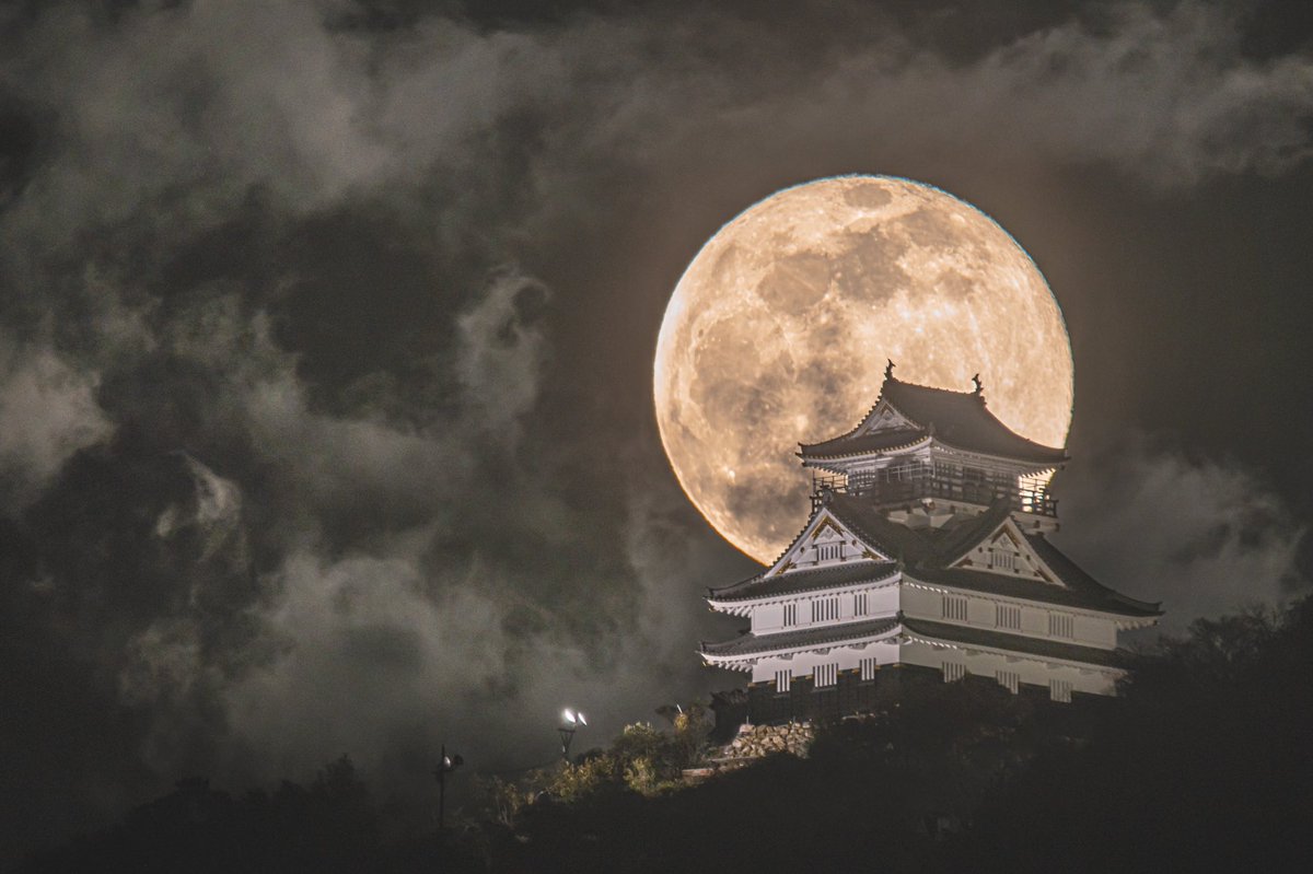 月城 月城