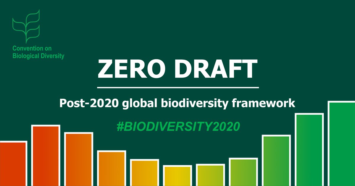JUST RELEASED‼️ 'Zero Draft' of the #post2020 global biodiversity framework

Get your first look at the text that will form the basis for negotiations on a #biodiversity2020 agreement to safeguard all life on Earth.

See item 4 here: cbd.int/conferences/po…