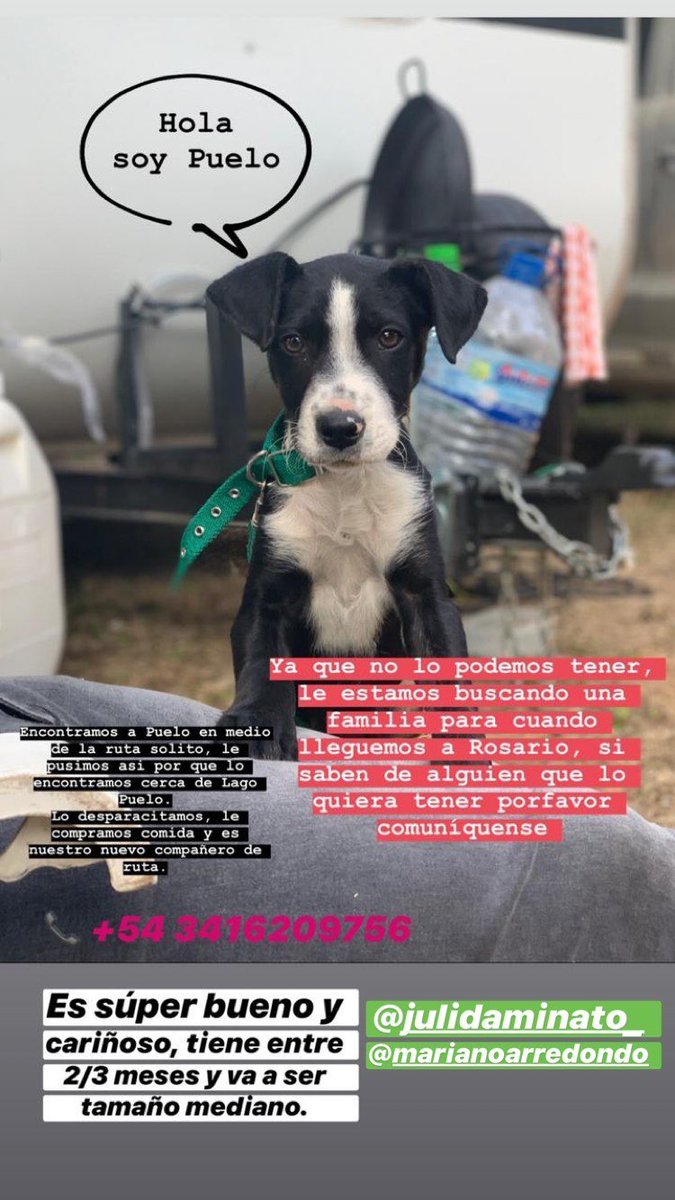 PUELO BUSCA UNA CASA, por favor ayudemoslo 🤞🏻🤞🏻 ❤️
¡¡¡DIFUNDIR!!!