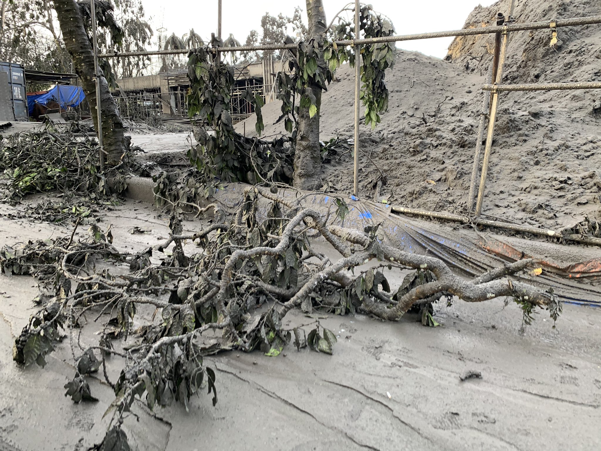 EOHpCGYVUAA-1k0?format=jpg&name=4096x4096